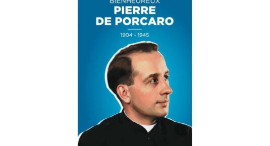 photo Pierre de Porcao betification Eveche Versailles_canva